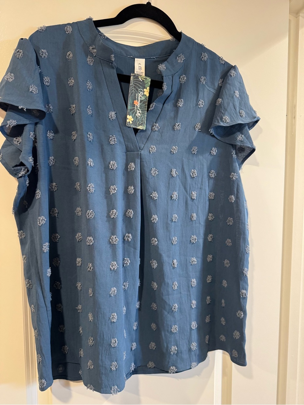 Light Blue Embroidered Flutter-Sleeve Blouse NWT